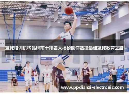 篮球培训机构品牌前十排名大揭秘助你选择最佳篮球教育之路