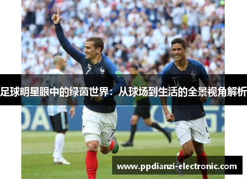足球明星眼中的绿茵世界：从球场到生活的全景视角解析