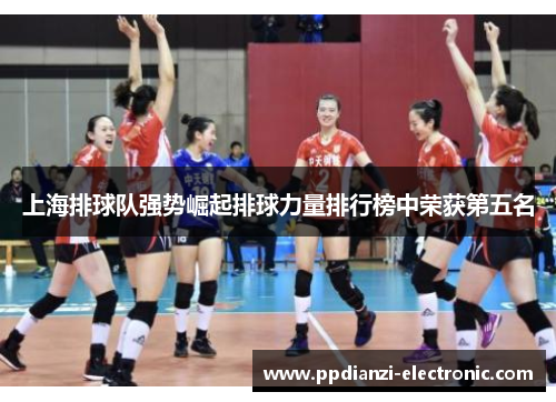 上海排球队强势崛起排球力量排行榜中荣获第五名