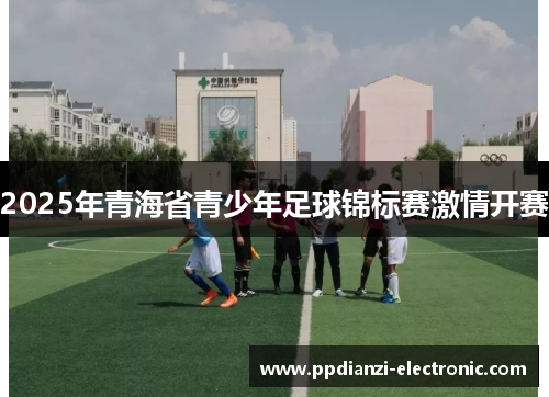 2025年青海省青少年足球锦标赛激情开赛